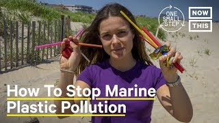 How Do We Fight Marine Plastic Pollution  One Small Step [upl. by Haland254]