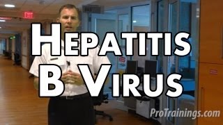 Hepatitis B [upl. by Kanal]