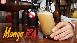 Idiots Guide to Making Incredible Beer at Home [upl. by Orsola]