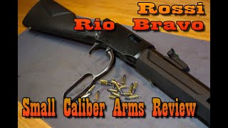 Rossi Rio Bravo Lever Action22 Caliber Cowboy Fun [upl. by Fredelia826]