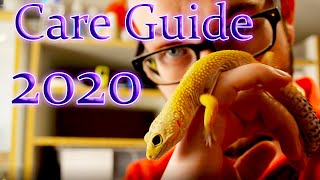 Leopard Gecko Complete Care Guide 2020 [upl. by Nnadroj964]