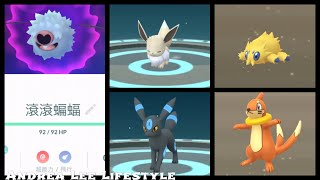 《Pokemon Go》滾滾蝙蝠 コロモリ Woobat 是七日田野任務特殊獎勵 進化月亮伊布 ブラッキー Umbreon 5公里蛋孵出電電蟲和浮潛鼬ブイゼル Buizel [upl. by Enilesor]