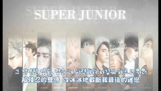 繁中字幕 SUPER JUNIOR  Bittersweet [upl. by Yhtac]