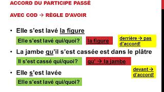 Laccord du participe passé des verbes pronominaux [upl. by Teodora]