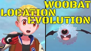 Pokemon Sword And Shield Woobat Evolution and Location [upl. by Licha953]