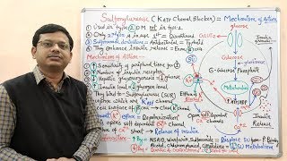 Diabetes Mellitus Part10 Mechanism of Action of Sulfonylurease  Antidiabetic Drugs  Diabetes [upl. by Faline]