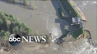 Central Michigan suffers two dam collapses in hours  WNT [upl. by Nessi]