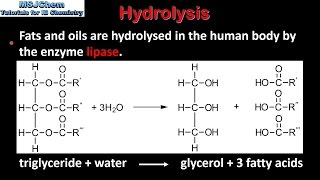 B3 Hydrolysis of lipids SL [upl. by Neehahs]