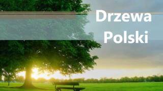 Drzewa Polski [upl. by Gytle]