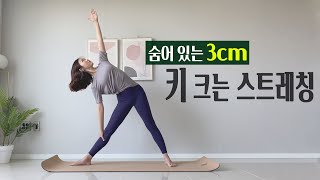 숨은키 스트레칭  최소 1cm는 확실하게 크는 스트레칭  성장판 닫혀도 키크는법 [upl. by Dygal]