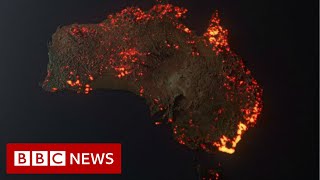 Australia fires Misleading maps and pictures go viral  BBC News [upl. by Akiemat]