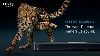 AMBEO Soundbars The Worlds Most Immersive Sound  Sennheiser [upl. by Euqinim]