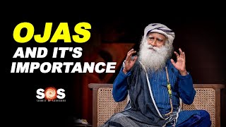 What is Ojas amp Its Significance in Our Life  Sadhguru Explains [upl. by Dustin617]