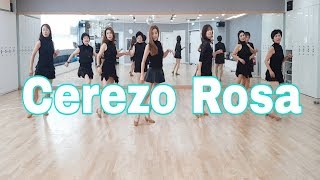 Cerezo Rosa Line Dance Improver  Sally Hung [upl. by Aelanej]