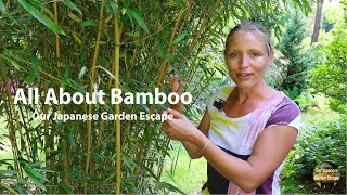 How to Grow Maintain and Control Bamboo  Our Japanese Garden Escape [upl. by Leonardo]