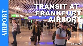 TRANSIT WALK AT FRANKFURT Airport FRA Terminal 1  Connection Flight Transfer Arriving amp Departing [upl. by Langbehn]