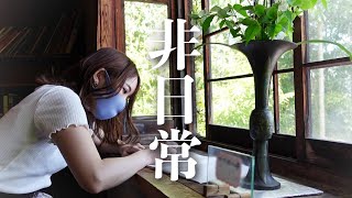 【尾道】ジブリのような世界観！猫を追いかけた先には…？│27歳独身女の旅vlog│広島旅行 [upl. by Refinnaj]