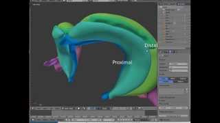 The hippocampal formation a short overview [upl. by Drobman]