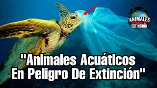 Top 10 Animales Acuáticos En Peligro De Extinción [upl. by Calvert]