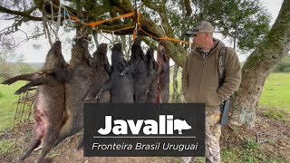 Caçada de Javali  Fronteira Brasil Uruguai [upl. by Anirahs]