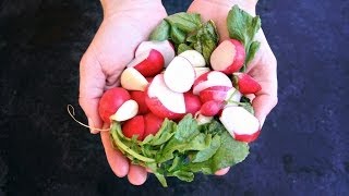 Quick Pickled Radishes [upl. by Notyad]