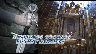 MISTERIOS GOZOSOS POR LAS ALMAS DEL PURGATORIO Y POR TI [upl. by Aerdnat]